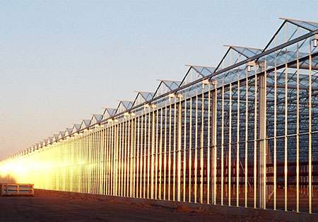 Venlo Glasgew chshaus Gro es Gew chshaus Richel Group venlo-glasgew-chshaus-gro-es-gew-chshaus-richel-group